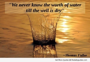 we-never-know-the-worth-of-water-till-the-well-is-dry